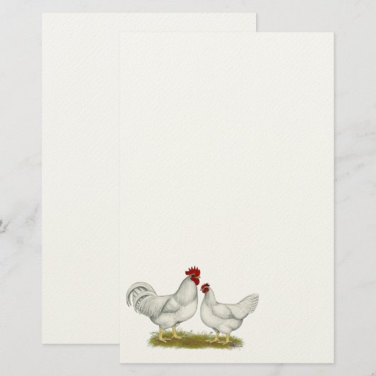 Lamona Chickens Briefpapier (Voorkant / Achterkant)