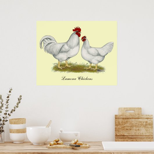 Lamona Chickens Poster (Keuken)