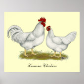 Lamona Chickens Poster (Voorkant)