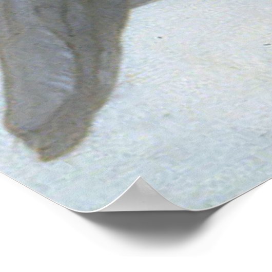 L'Amour et Psyché, Enfants - William Bouguereau Poster (Hoek)