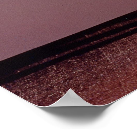 Lamp in de vorm van drie lotusbloemen poster (Hoek)