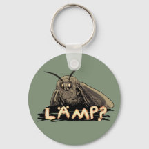 Lamp? Moth Meme