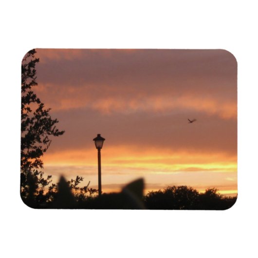 Lamp Post en Bird Magneet (Horizontaal)