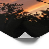 Lamp Post en Bird Poster (Hoek)