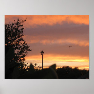 Lamp Post en Bird Poster
