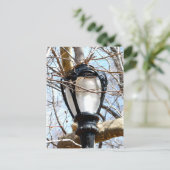 Lamp Post New York Central Park Briefkaart (Staand voorkant)