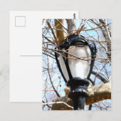 Lamp Post New York Central Park Briefkaart (Voorkant / Achterkant)