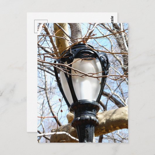 Lamp Post New York Central Park Briefkaart (Voorkant / Achterkant)