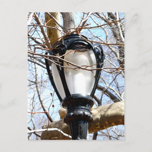 Lamp Post New York Central Park Briefkaart (Voorkant)