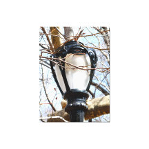 Lamp Post New York Central Park