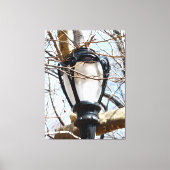 Lamp Post New York Central Park Canvas Afdruk (Voorkant)