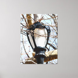 Lamp Post New York Central Park Canvas Afdruk