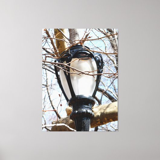 Lamp Post New York Central Park Canvas Afdruk (Voorkant)