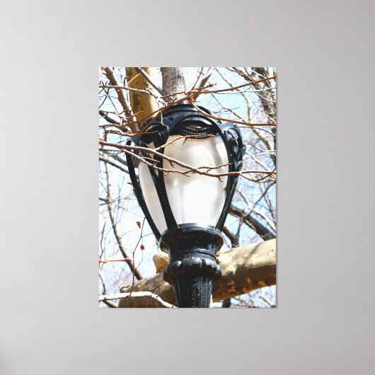 Lamp Post New York Central Park Canvas Afdruk (Voorkant)