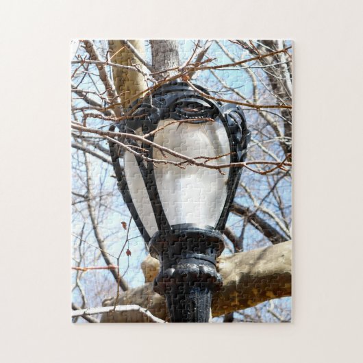 Lamp Post New York Central Park Legpuzzel (Verticaal)