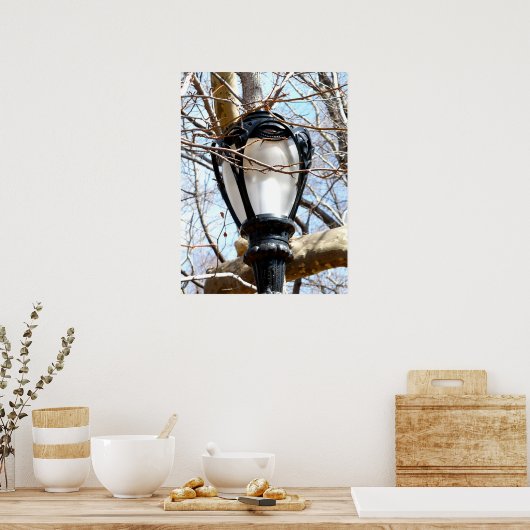 Lamp Post New York Central Park Poster (Keuken)