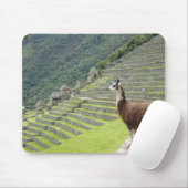 lampblok muismat (Met muis)