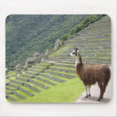 lampblok muismat (Voorkant)