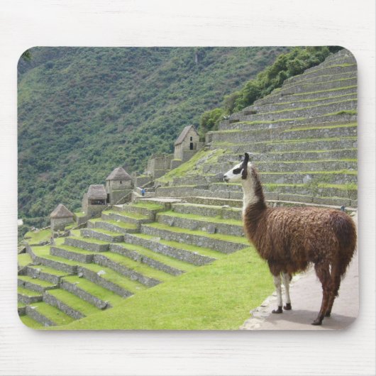 lampblok muismat (Voorkant)