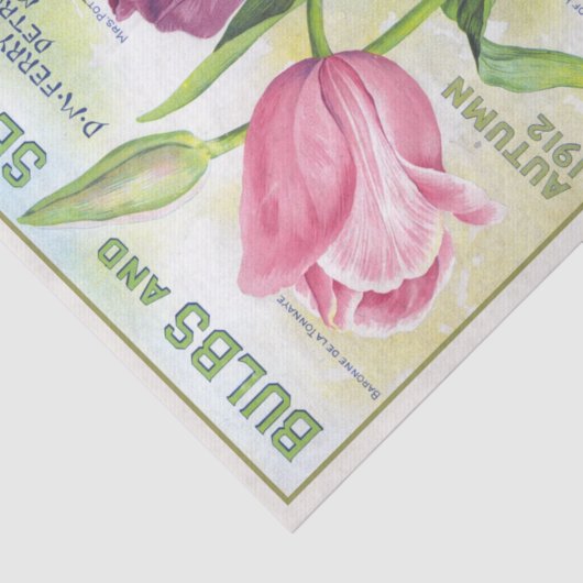 lampen en zaden 1912 Tulpen Tissuepapier (Detail)