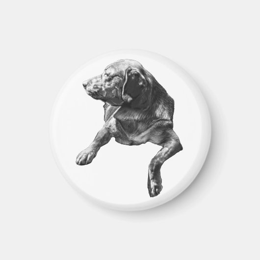 Lamplight Hush: Labrador Overzicht Magneet (Voorkant)