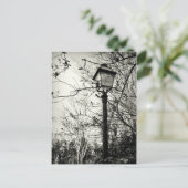Lamppost in Parijs Briefkaart (Staand voorkant)