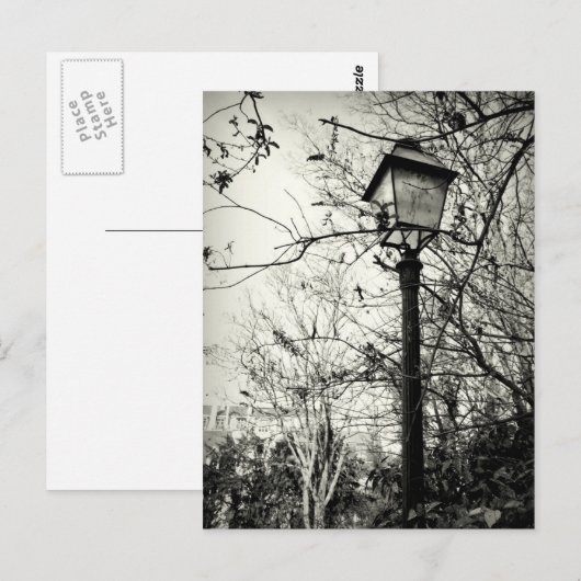 Lamppost in Parijs Briefkaart (Voorkant / Achterkant)