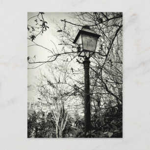 Lamppost in Parijs Briefkaart