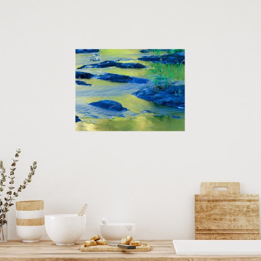 Lamprey | New Hampshire Poster (Keuken)