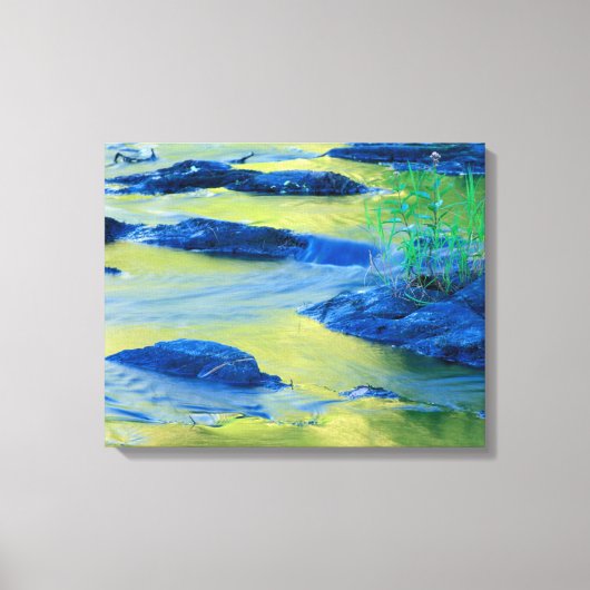 Lamprey River | New Hampshire Canvas Afdruk (Voorkant)