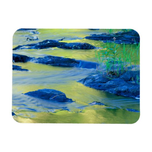 Lamprey River | New Hampshire Magneet (Horizontaal)