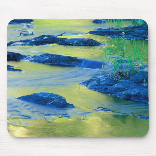 Lamprey River | New Hampshire Muismat (Voorkant)