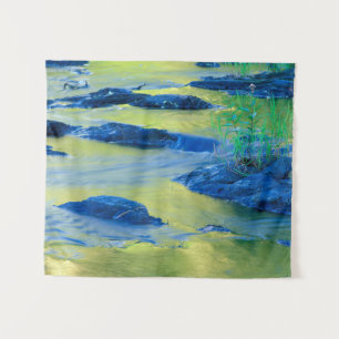 Lamprey River New Hampshire Wandkleed