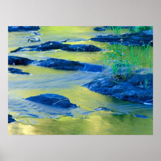 Lamprey Rivier | New Hampshire Poster (Voorkant)