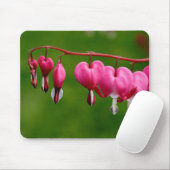 Lamprocapnos spectabilis muismat (Met muis)