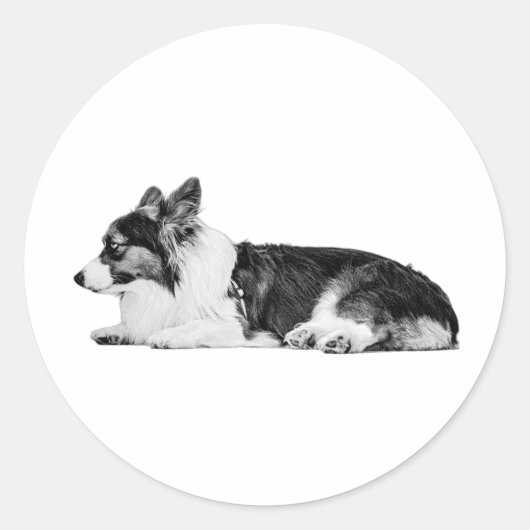 lampvoogd ronde sticker (Voorkant)