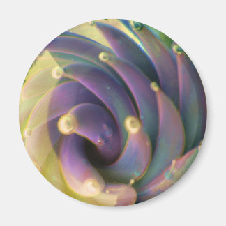 Lampwork Boro Glass Zee Pastel Lotus Bubble Magnet