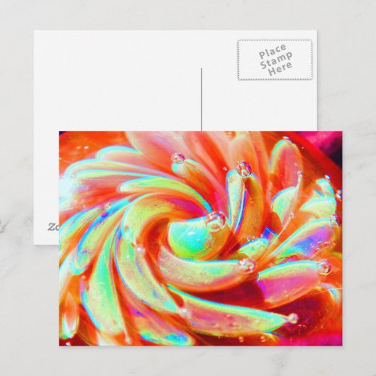 Lampwork Boro Rainbow Glass Pastel Art Briefkaart (Voorkant / Achterkant)