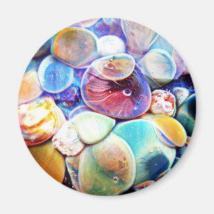 Lampworkglas Abstracte Onderwatersteenmagneet Magneet