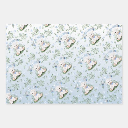 Lamsblauw Floral Baby shower Wrapping Papier Inpakpapier Vel (Voorkant 3)