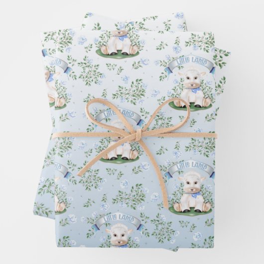 Lamsblauw Floral Baby shower Wrapping Papier Inpakpapier Vel (In situ)