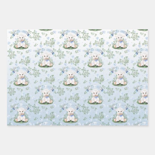 Lamsblauw Floral Baby shower Wrapping Papier Inpakpapier Vel (Voorkant)
