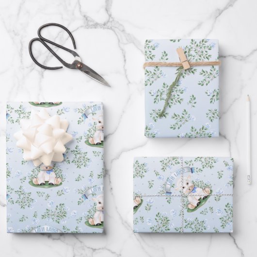 Lamsblauw Floral Baby shower Wrapping Papier Inpakpapier Vel (Voorkant)