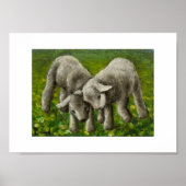 Lamsgevecht afdrukken poster (Voorkant)