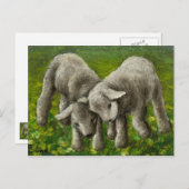 Lamsgevecht Briefkaart (Voorkant / Achterkant)