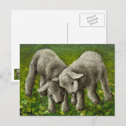Lamsgevecht Briefkaart (Voorkant / Achterkant)