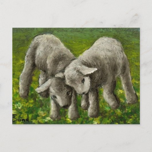 Lamsgevecht Briefkaart (Voorkant)