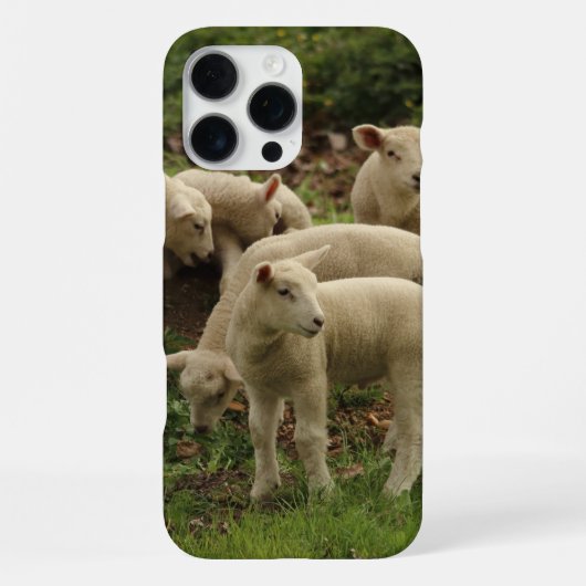 Lamsvlees  iPhone hoesje (Achterkant)