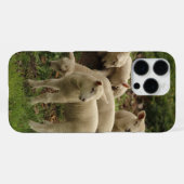 Lamsvlees  iPhone hoesje (Achterkant horizontaal)