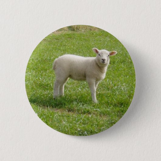 Lamsvlees Ronde Button 5,7 Cm (Voorkant)